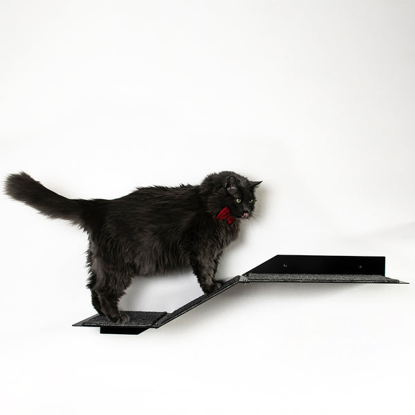 Rampaw XL