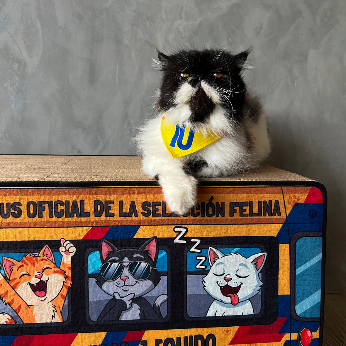 Rasca Cueva Selección Felina