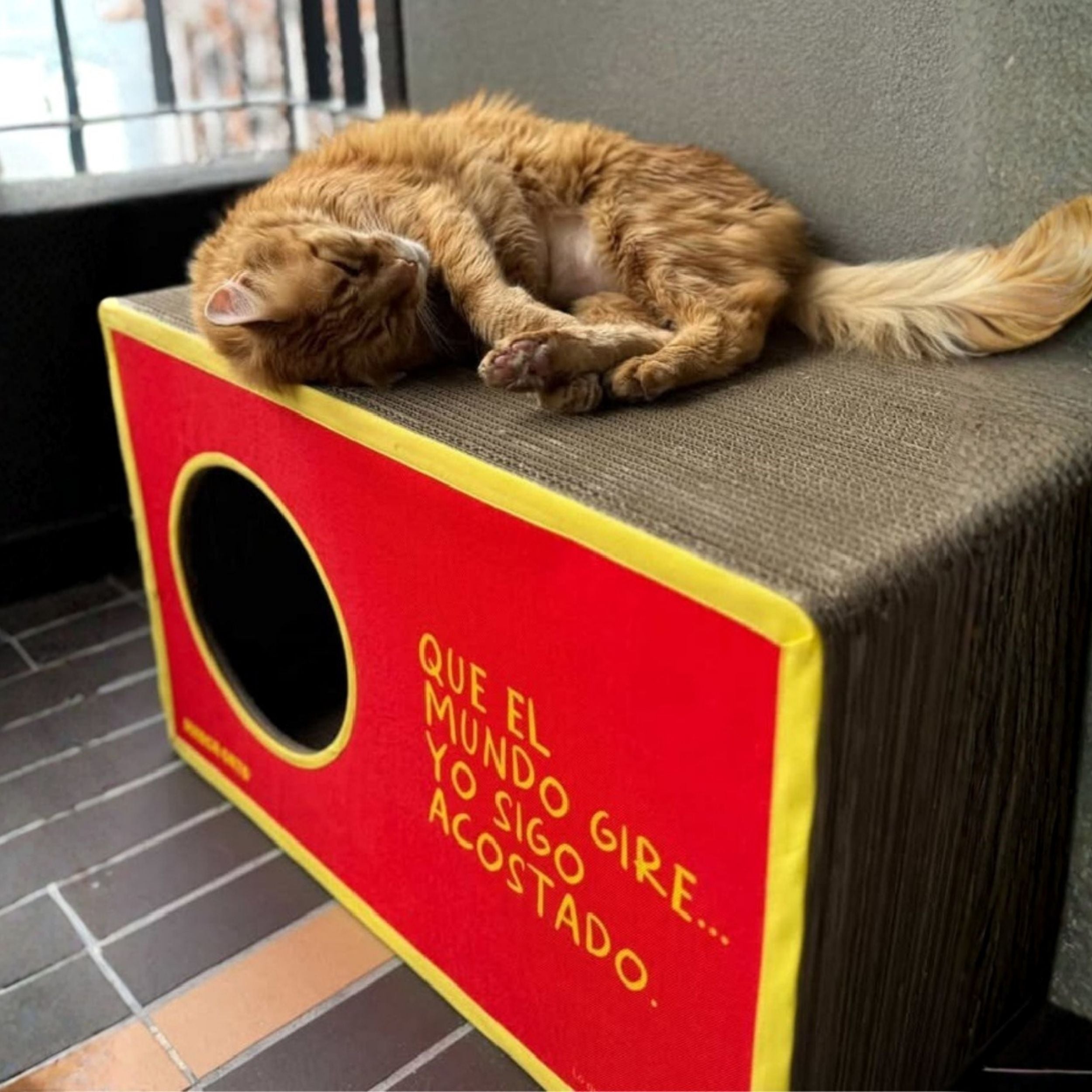 RascaCueva de cartón para gatos