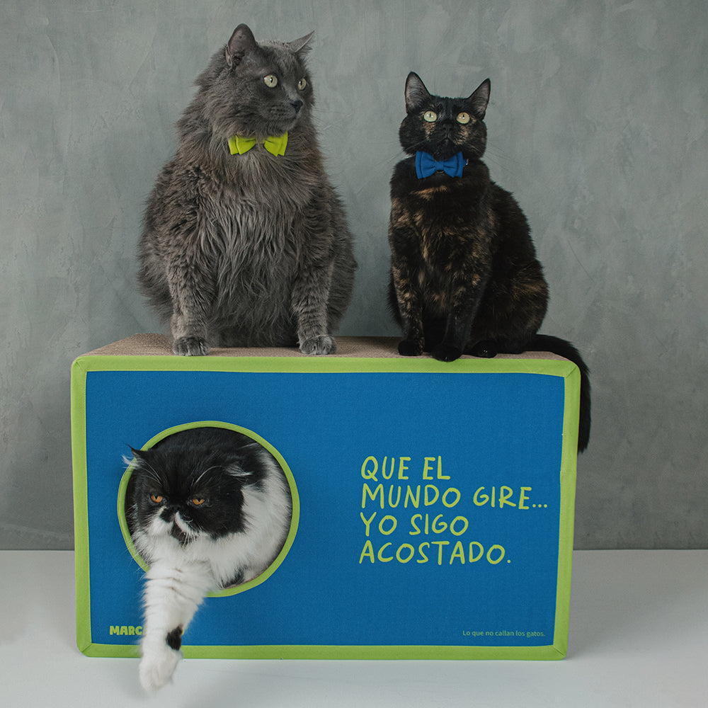 Rascador de cartton corrugado para gatos.