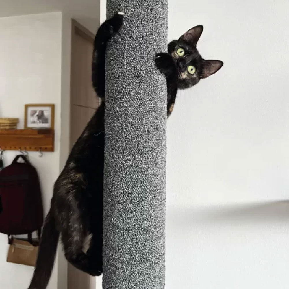 Rascador macarronen alfombra alclado a la pared para gatos 