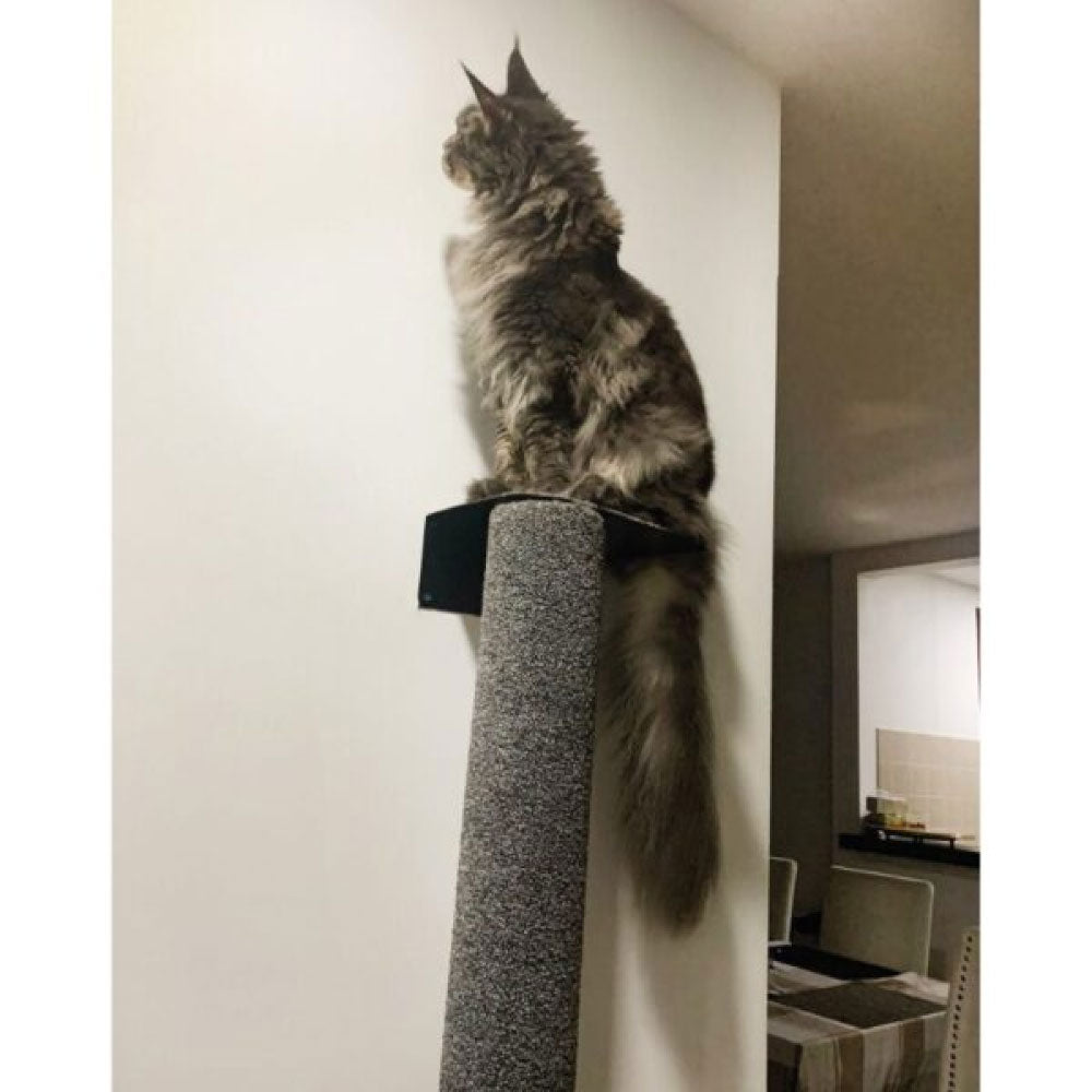 Rascador macarronen alfombra alclado a la pared para gatos 