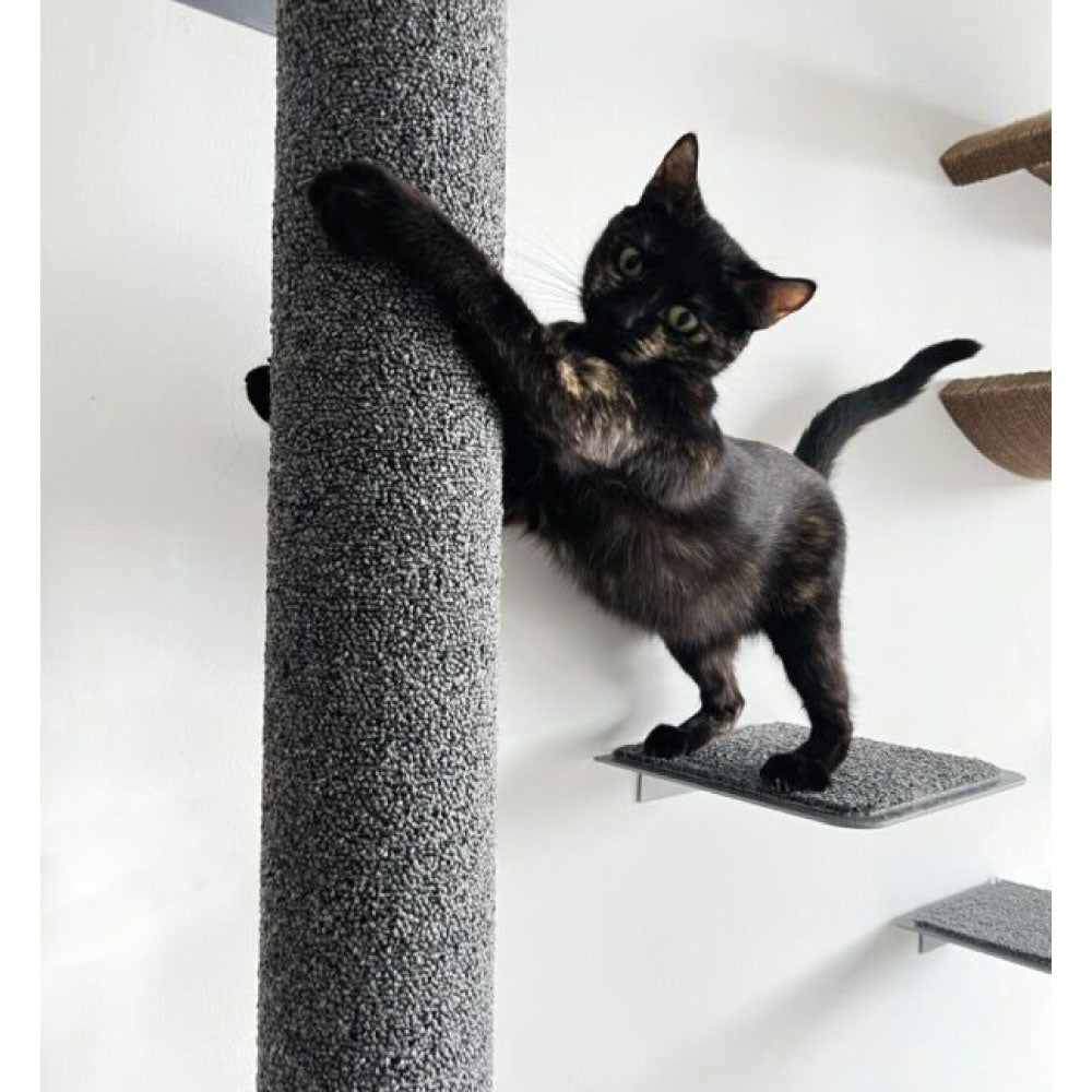 Rascador macarronen alfombra alclado a la pared para gatos 