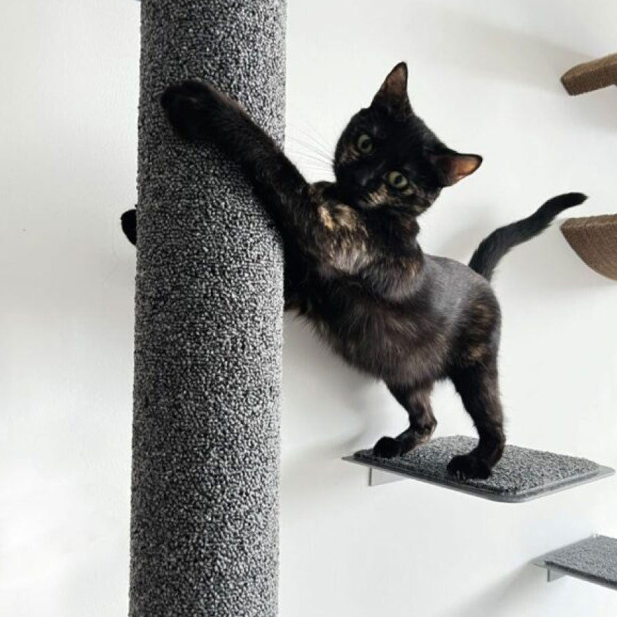 Rascador vertical de pared para gatos madera sólida resistente tapete escalón metal 