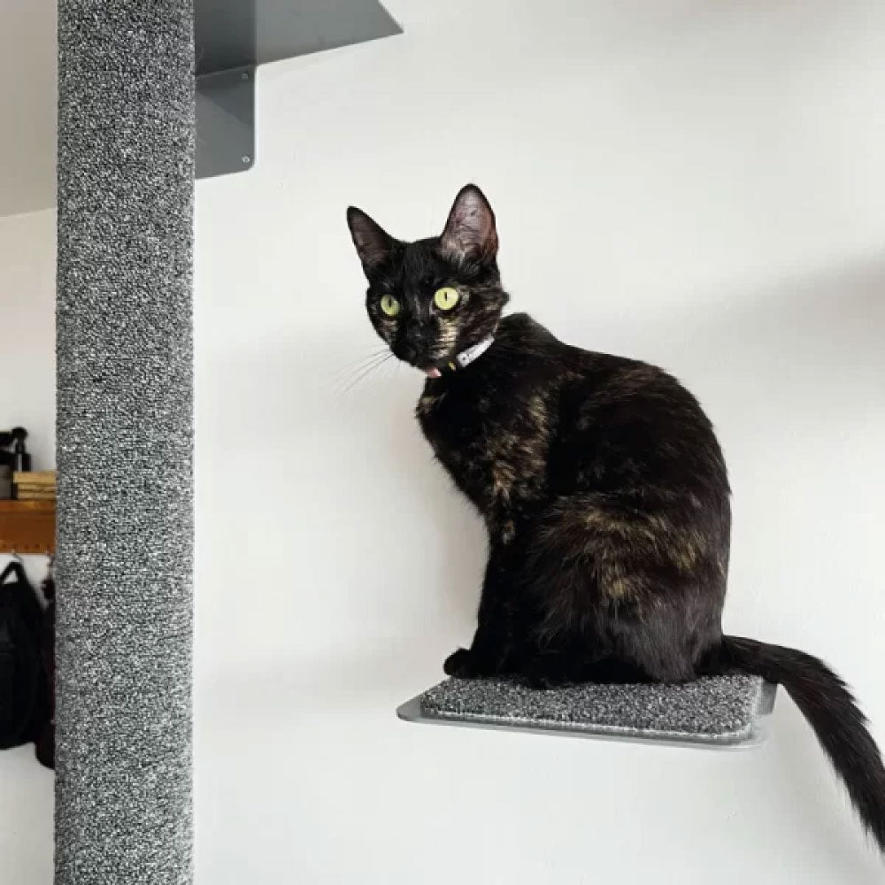 Rascador macarronen alfombra alclado a la pared para gatos 