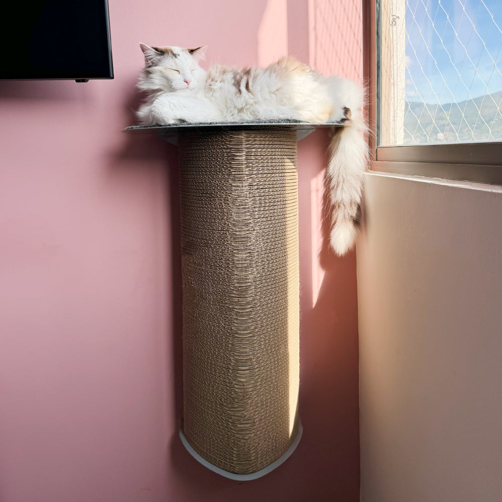 Rascador par agatos, de carton corrugado doble pared, anclado a la pared, verticalmente