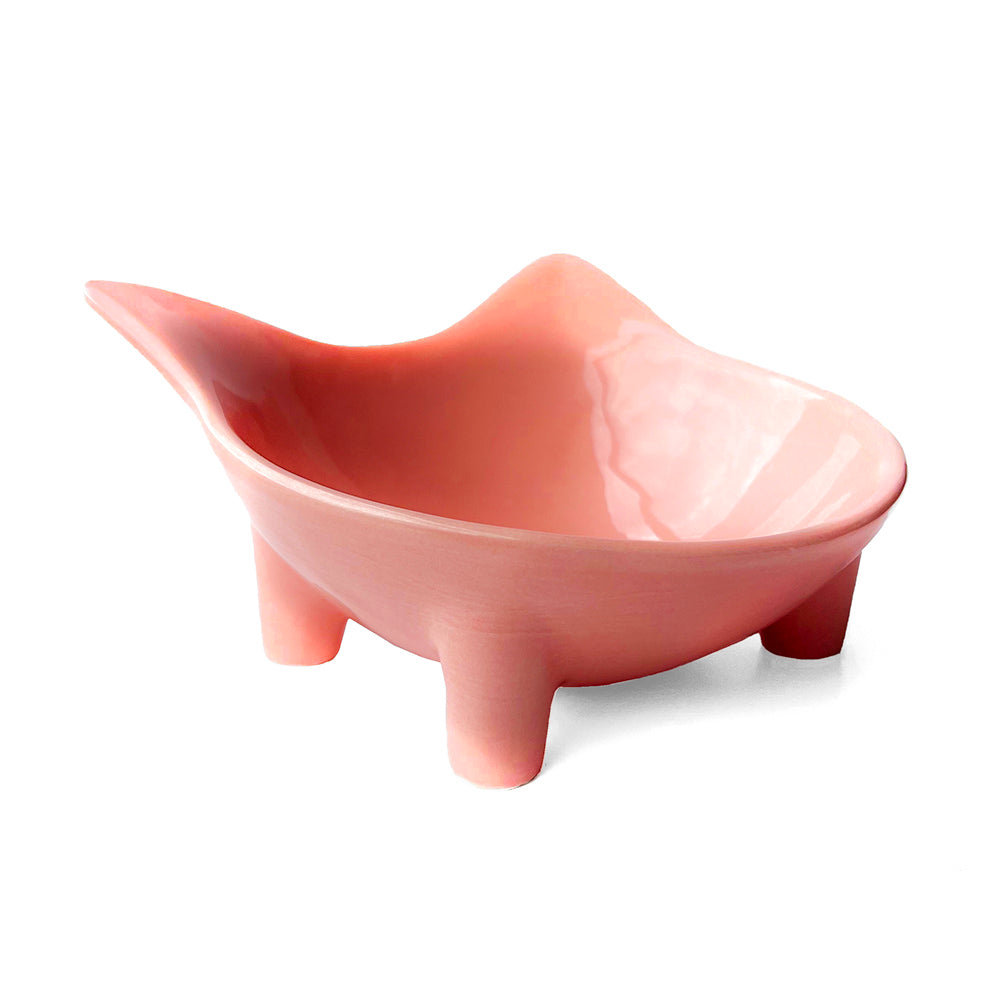 Plato de ceramica  para gato