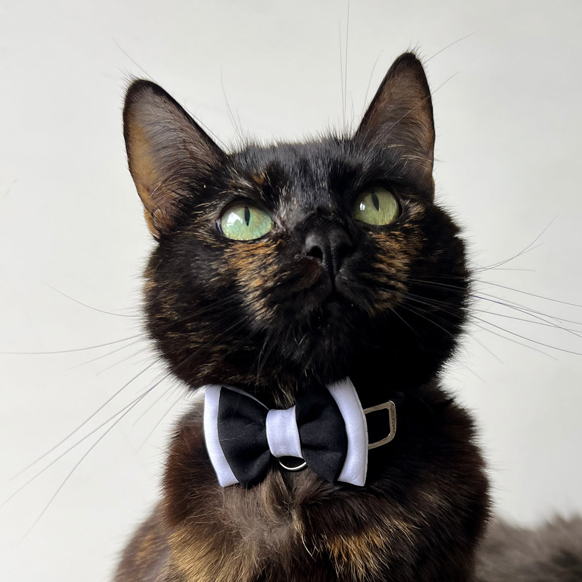 Corbatín para gatos Smoking broche seguridad para gatos anti ahorcamiento ajustable elegante boda