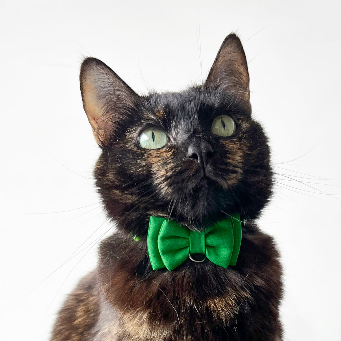 Corbatín gatos verde color sólido broche liberación argolla plaquita tensor ajustable
