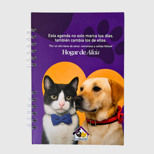 Agenda 2026 - El Hogar de Alicia