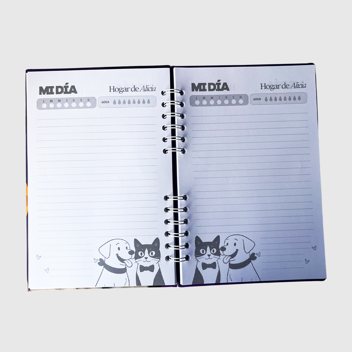 Agenda 2026 agenda planeadora, agenda solidaria 