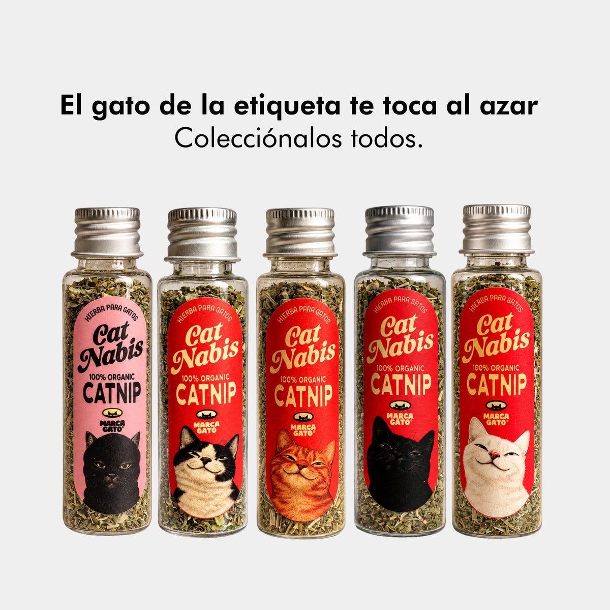 Catnip hierba para gatos 5 g