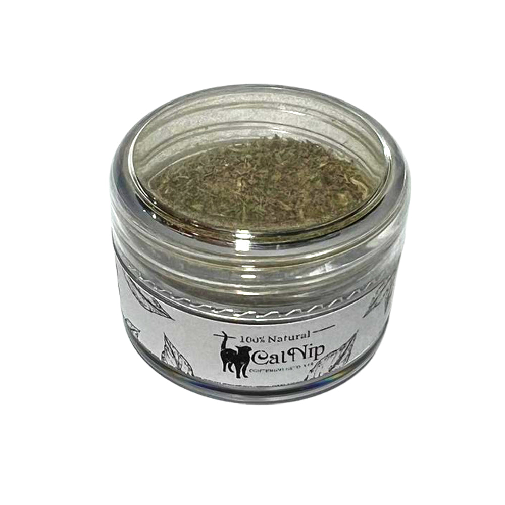 Catnip en polvo tarro x 3,3 gr