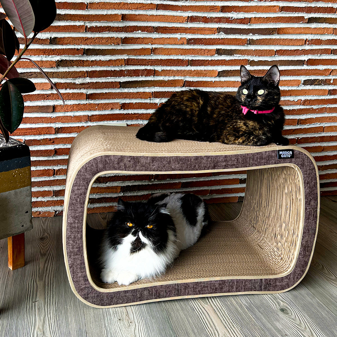 Rascador para gatos en carton corrugado doble pared horizontal