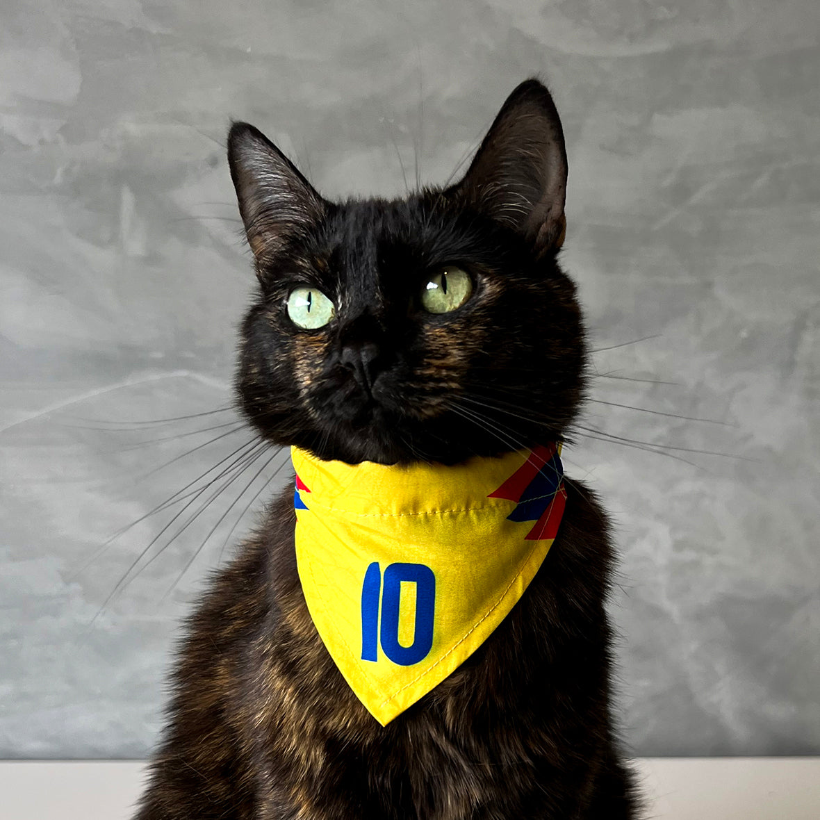 
Pañoleta  para gatos selección felina Colombia mundial 2026 tricolor fútbol
