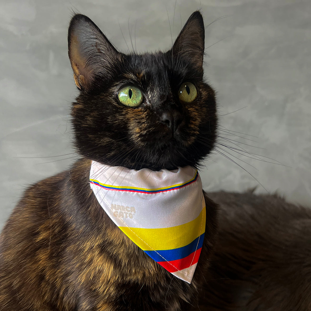 Pañoleta gatos selección felina Colombia mundial 2026 tricolor fútbol