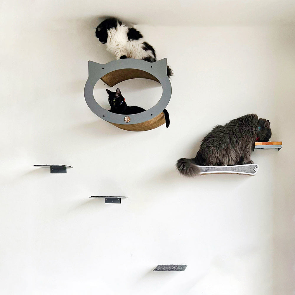 Gimnasio para gatos Mafalda