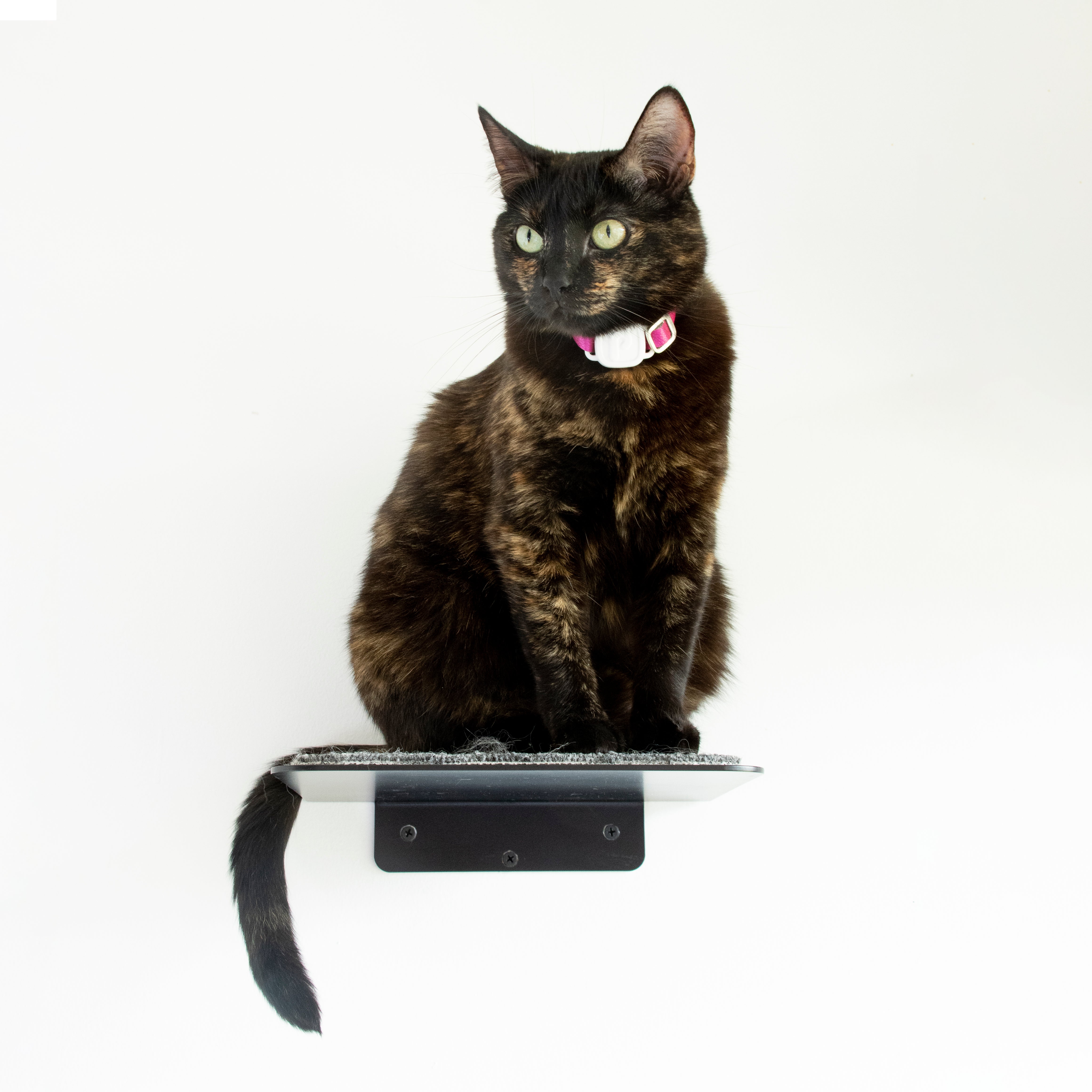 Escalón para gatos de pared con tapete antideslizante escalón metal seguro herrajes
