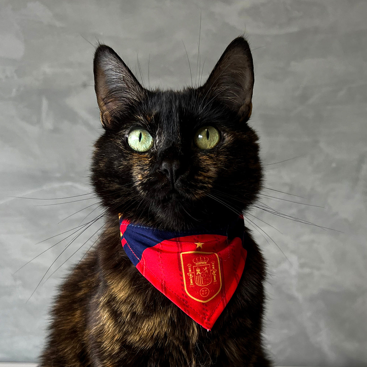 Pañoleta gatos selección España mundial 2026 deportivo fútbol oficial
