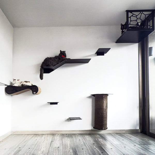 gimnasio para gatos, cama para gatos, rascadores para gato