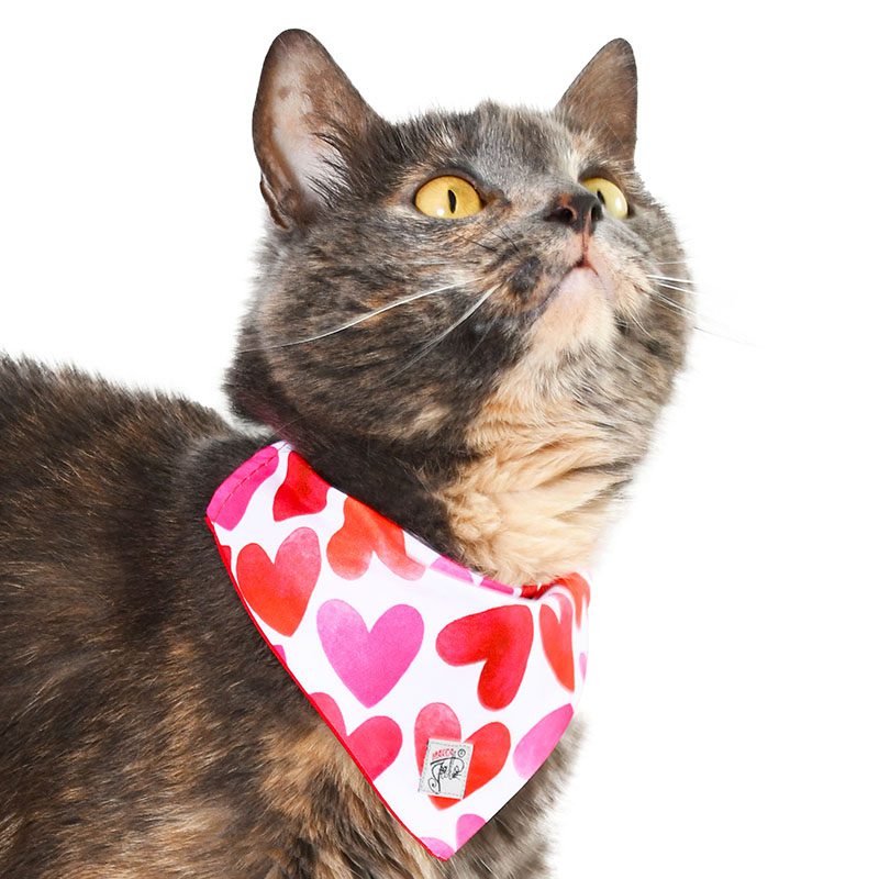 Pañoleta para gatos magenta.