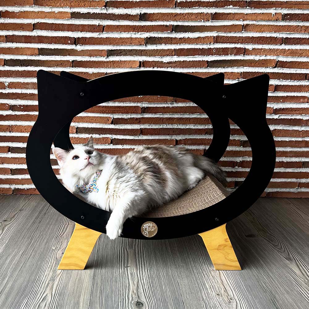 Cama Rascador Boston