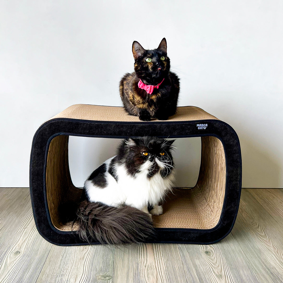 Rascador de cartón espacioso gatos grandes cartón resistente dos niveles varios gatos Brownie
