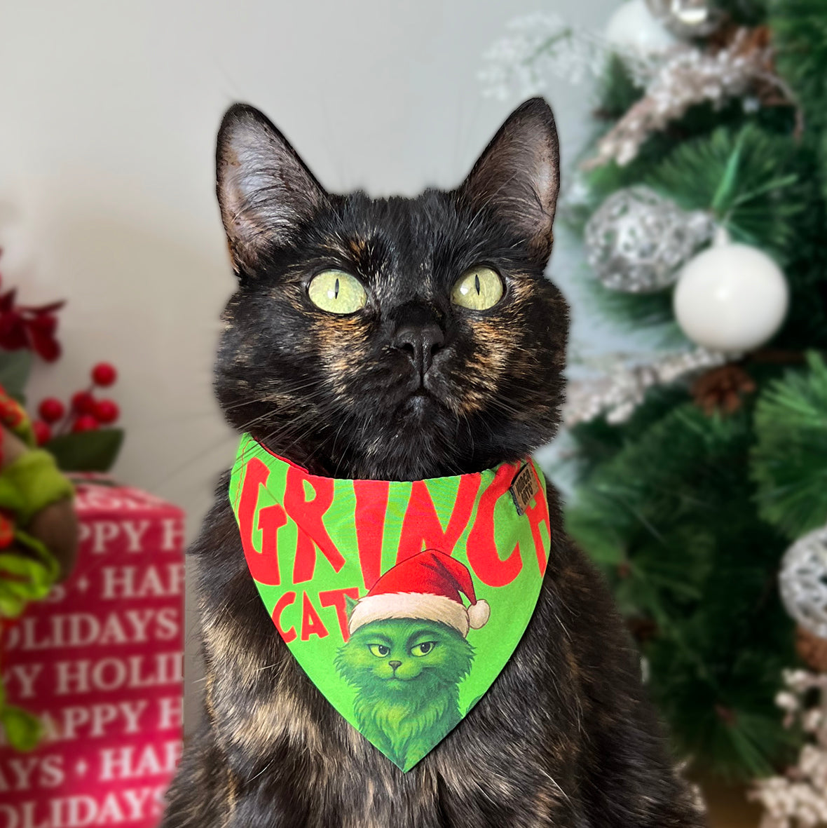Pañoleta NaviCat Grinch Cat pañoleta de navidad para gatos con broche de seguridad 