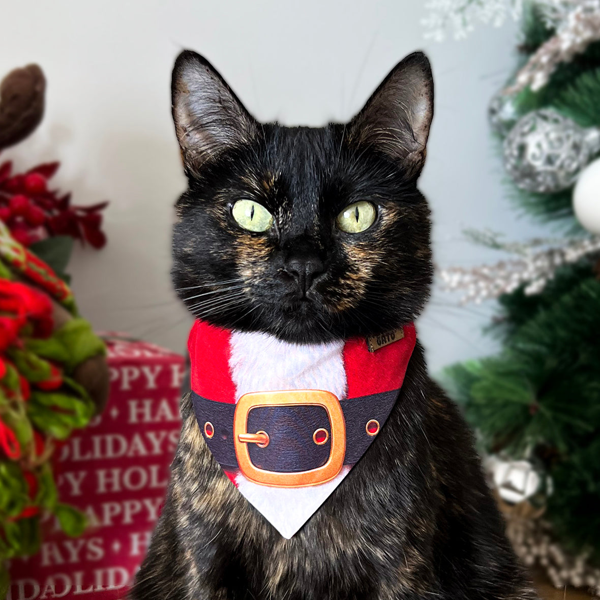 Pañoleta NaviCat Santa Paws pañoleta de navidad para gatos con collar