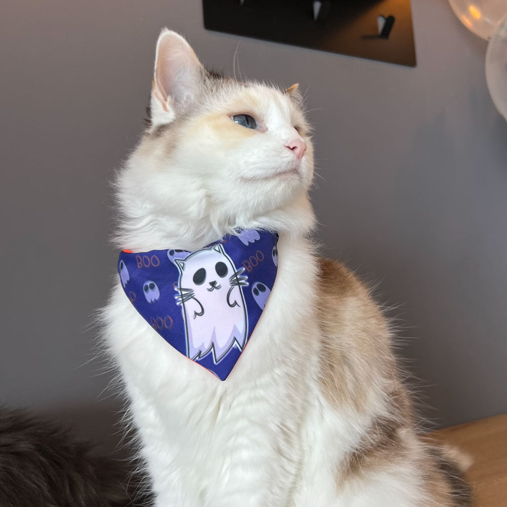 Pañoleta para gatos  Halloween (GatoWeen) 