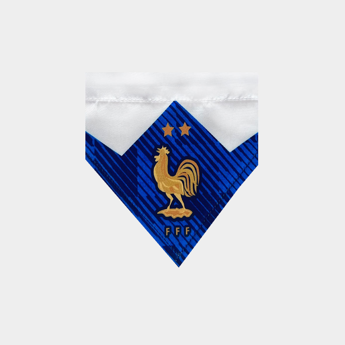 Pañoleta gatos selección felina Francia mundial 2026 bandana fútbol
