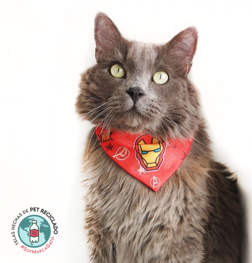 Pañoletas para gatos