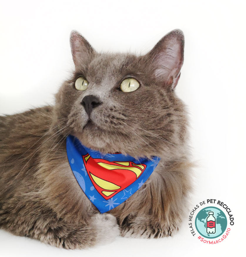 Pañoleta para gato, superman.