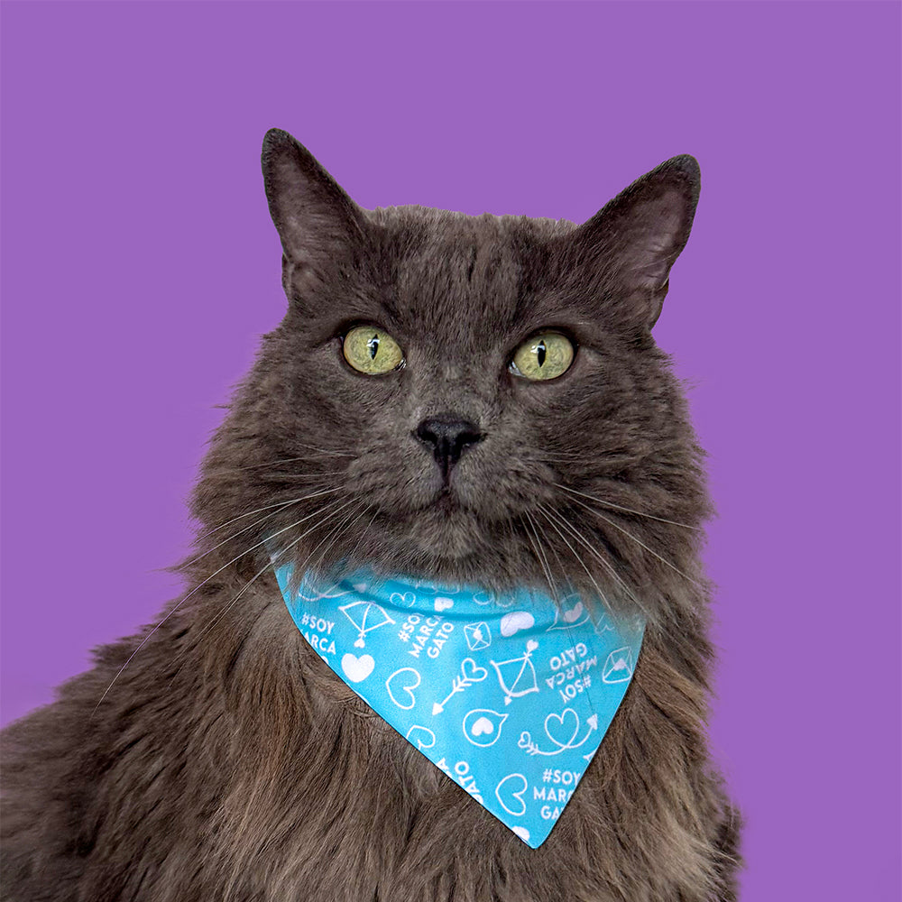 Pañoleta Mantra Michi