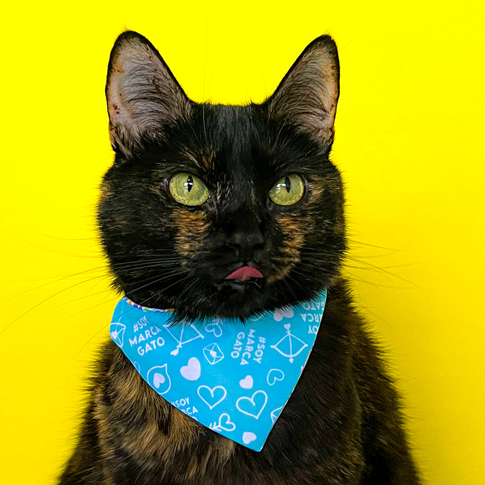 Pañoleta Mantra Michi