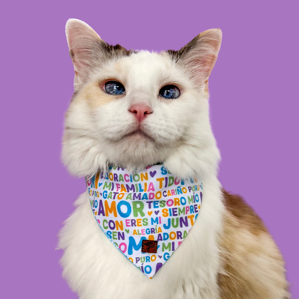 Pañoleta Mantra Michi