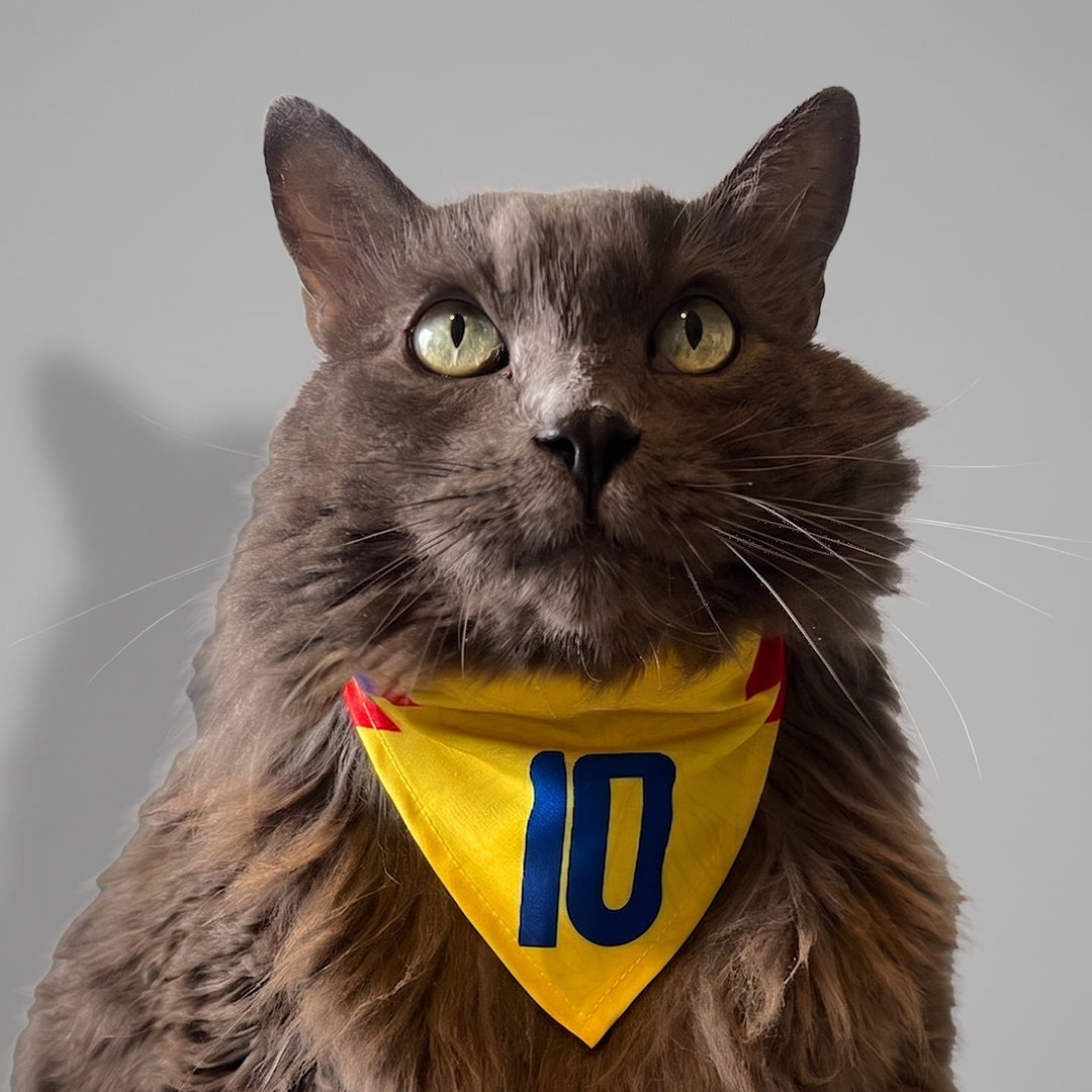 Pañoleta gatos selección felina Colombia mundial 2026 mascota broche de seguridad