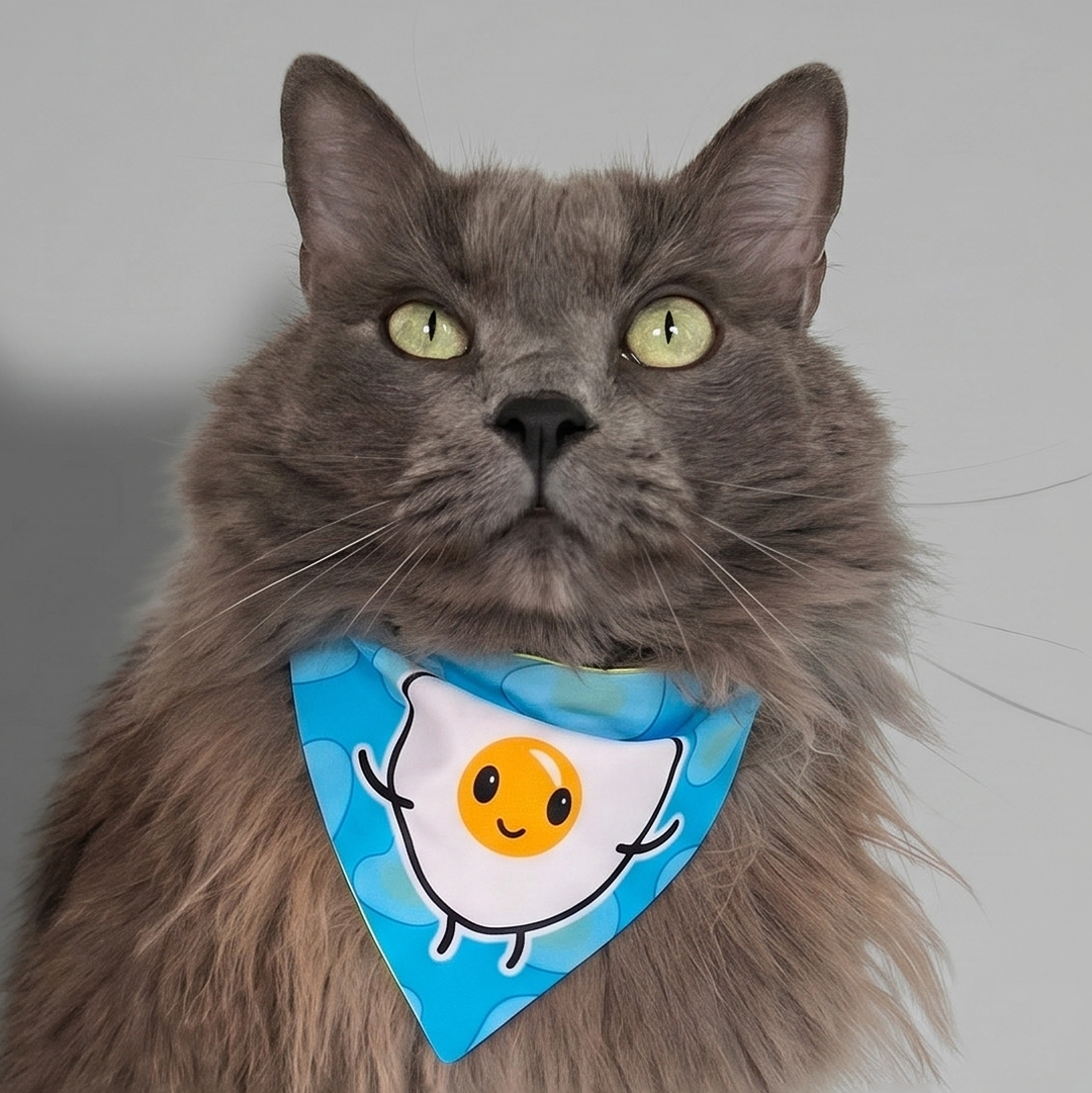 Pañoleta gatos selección felina España mundial 2026 bandana