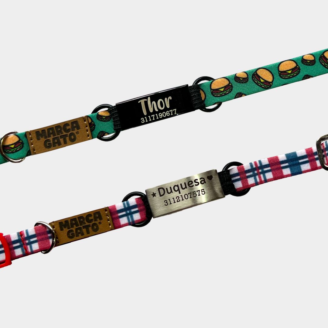plaquitas de identificación para gatos - paquitas ID - plaquitas personalizadas integradas