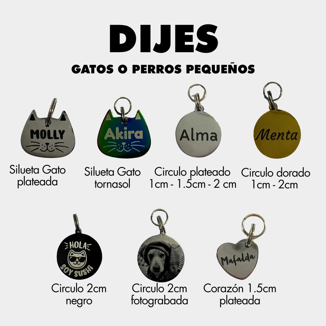 plaquitas de identificación para gatos - paquitas ID - plaquitas personalizadas