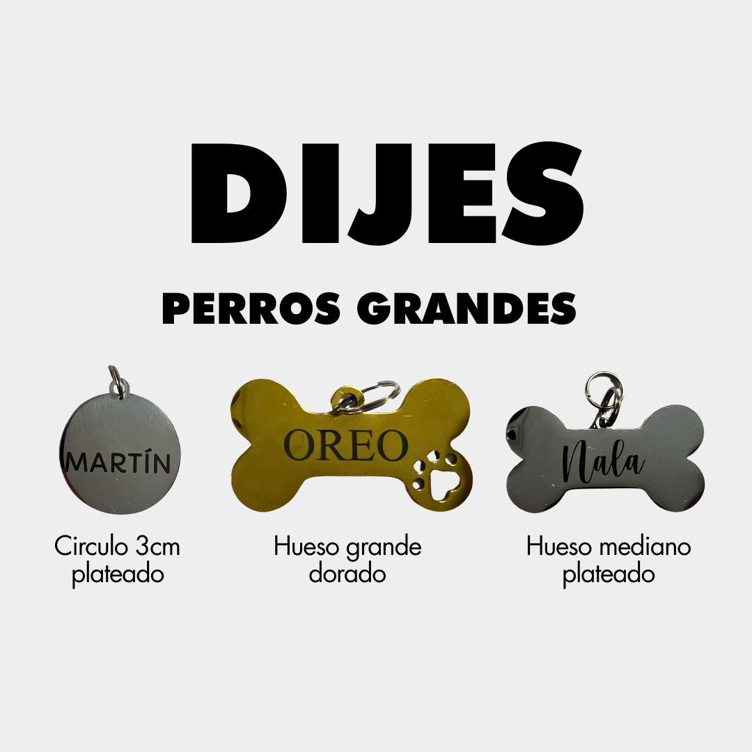 
plaquitas de identificación para gatos - paquitas ID - plaquitas personalizadas
