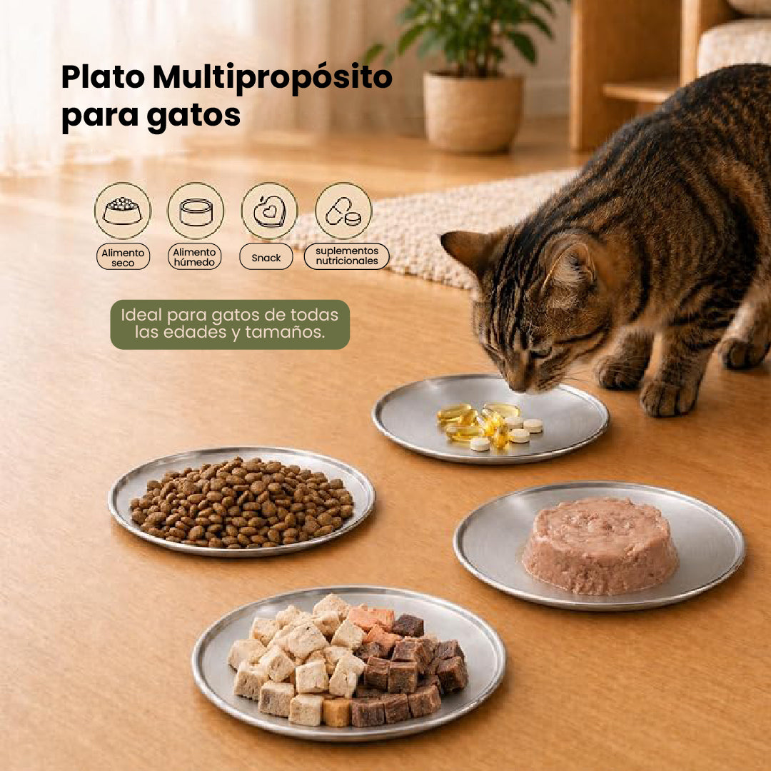 plato multipropósito plato plano para gatos plato que previene el acné felino - Acero inoxidable 
