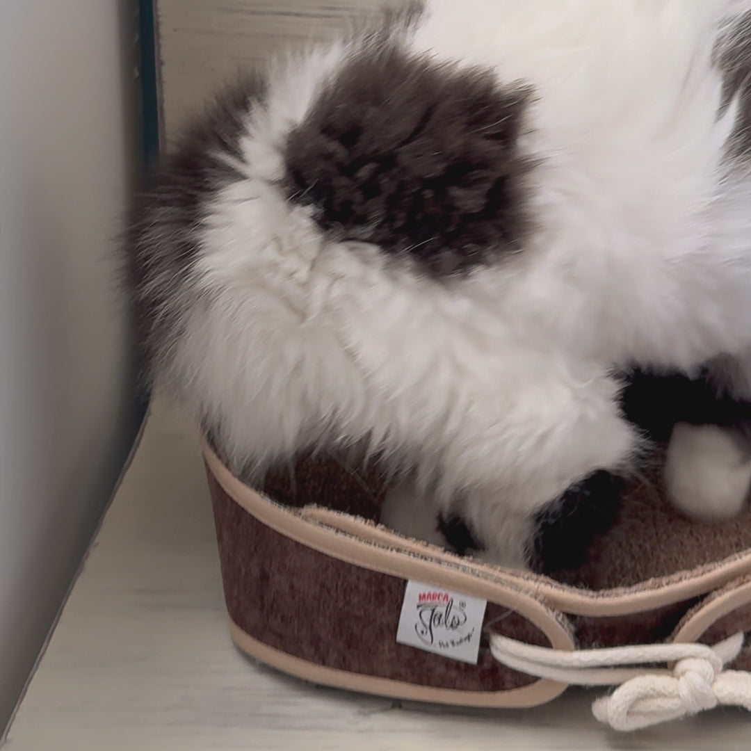 Cama Purrfect Bed