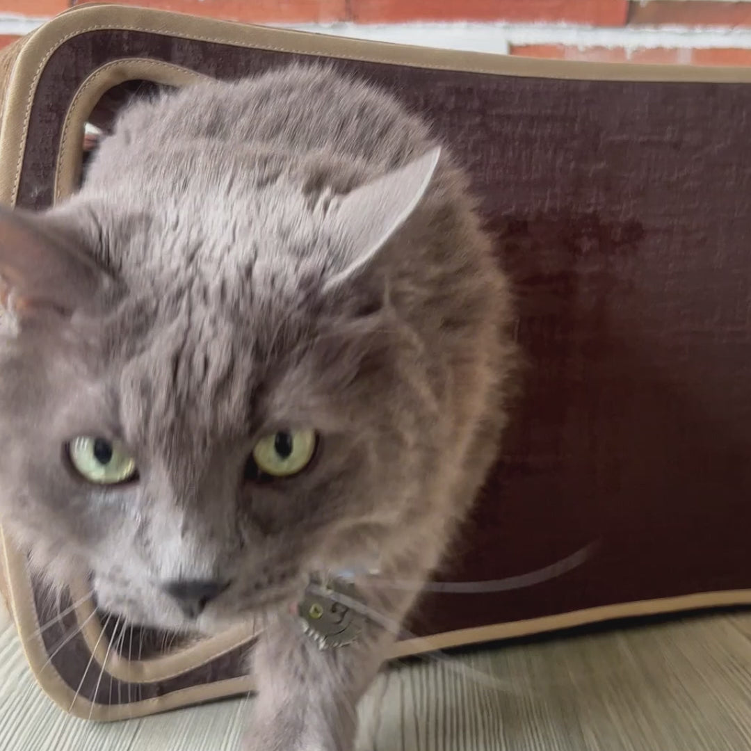 Rascador Coco