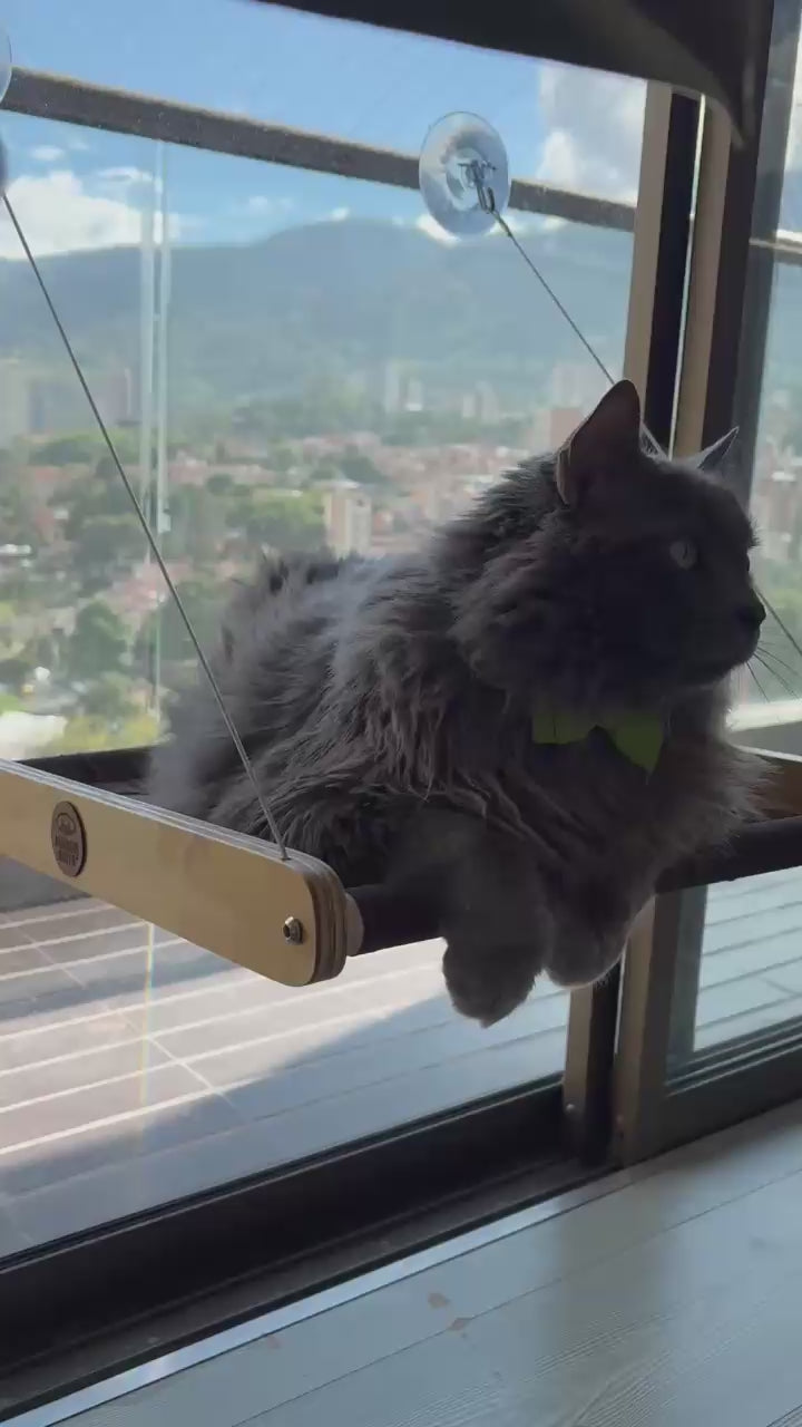 Hamaca para gatos de ventana con ventosas y tela acolchada · Hasta 30 kg