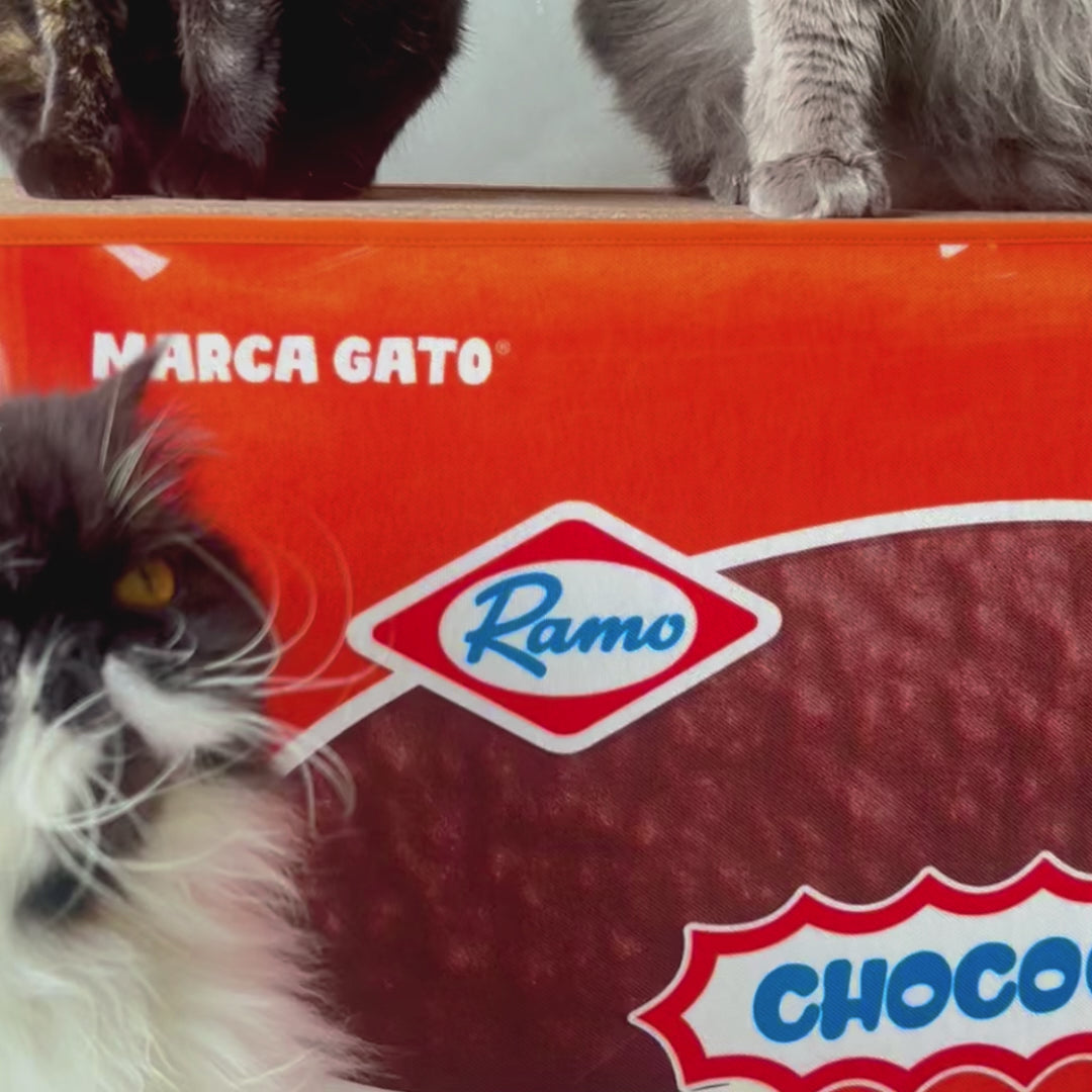 Rasca Cueva Temática