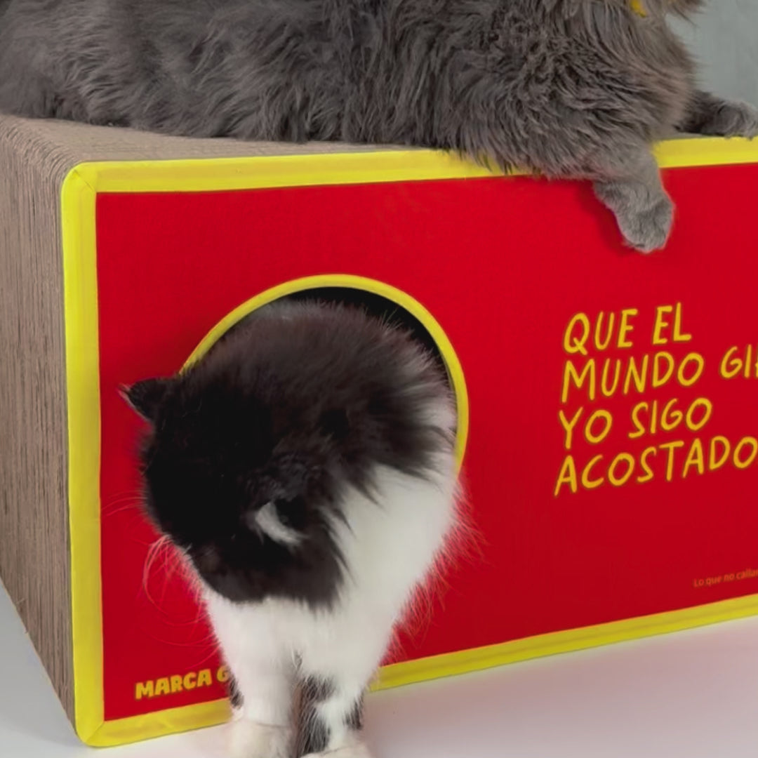 Rasca Cueva - Colección Lo que no callan los gatos