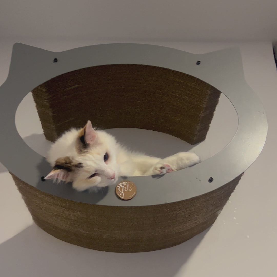 Cama Flotante Gatto