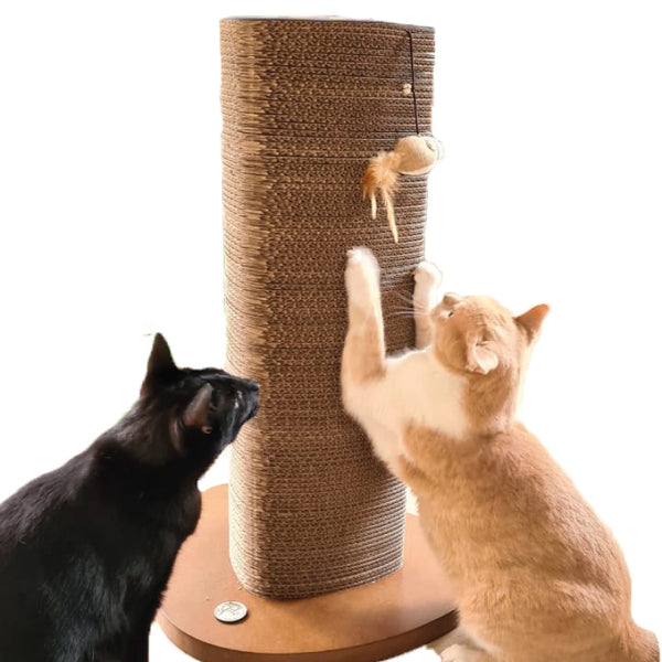 Rascadores Para Gatos Marca Gato rascadores-para-gatos-marca-gato